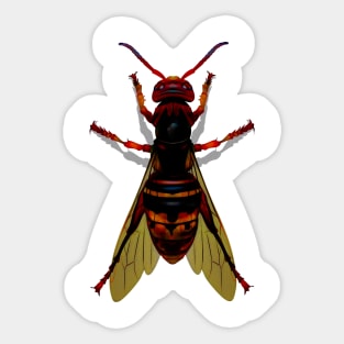 Hornet Two Sticker